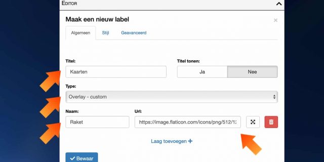 1. Maak een label aan en kies de optie ‘Overlay - custom’. Geef daarna je label een titel, bepaal de naam van je laag en vul de url van je afbeelding in. Klik op ‘Bewaar’.*